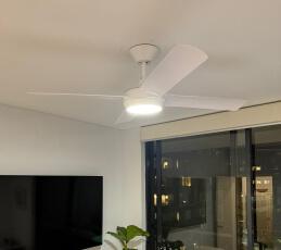Ceiling Fans
